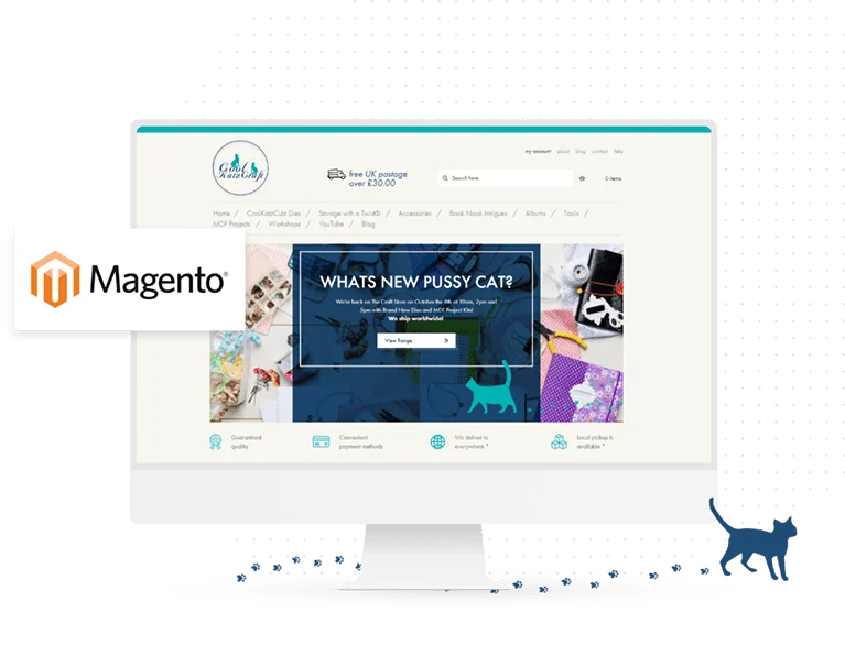 Magento Agency